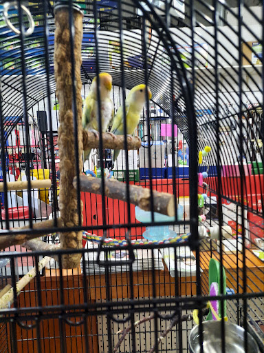 Pet Store «Pet Pro», reviews and photos, 1606 NY-82, Lagrangeville, NY 12540, USA