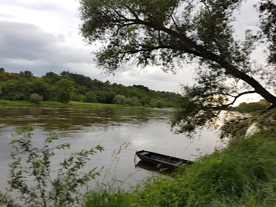Île de Chalonnes à Chalonnes-sur-Loire