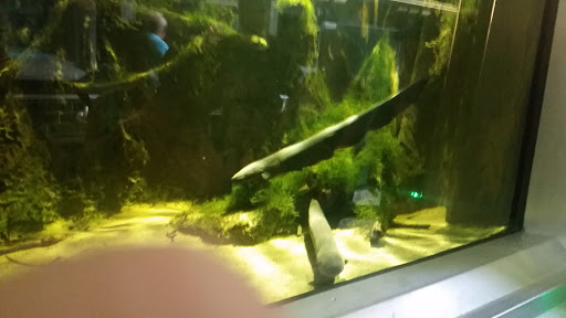 Aquarium «Belle Isle Aquarium», reviews and photos, 900 Inselruhe Ave, Detroit, MI 48207, USA