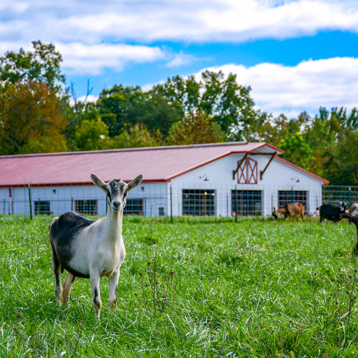 Farm «Goat Milk Stuff», reviews and photos, 76 S Lake Rd N, Scottsburg, IN 47170, USA