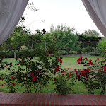 Photo n°2 de l'avis de Luca.a fait le 29/06/2021 à 16:12 sur le  Osteria I'Casolare à Terranuova Bracciolini