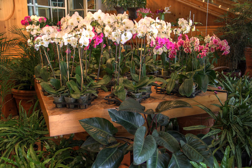 Florist «Allan Woods Flowers», reviews and photos, 2645 Connecticut Ave NW, Washington, DC 20008, USA