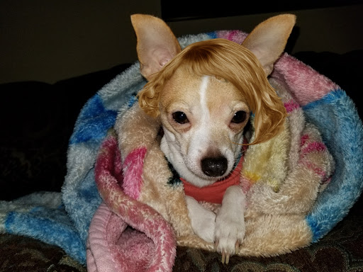 Supermarket «El Ahorro SuperMarket # 3», reviews and photos, 5859 Bissonnet St, Bellaire, TX 77401, USA