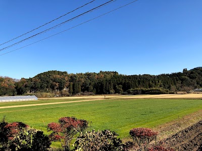 梅谷城址