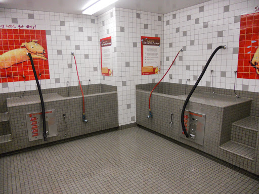 Pet Supply Store «Pet Food Express», reviews and photos, 3610 Mt Diablo Blvd, Lafayette, CA 94549, USA