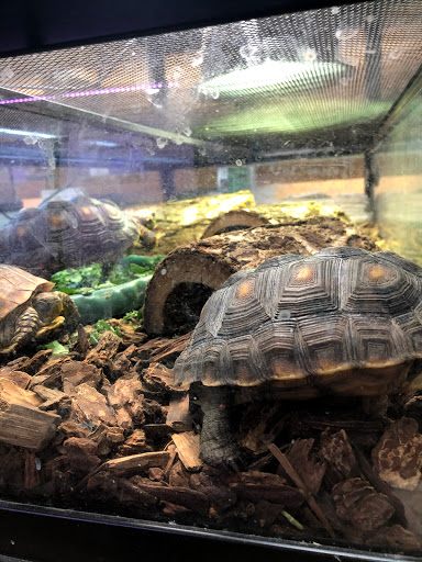 Pet Store «Animal Ark Pet Stores», reviews and photos, 33 Center St, Orem, UT 84057, USA