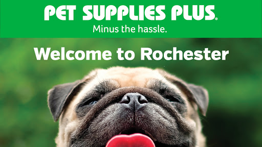 Pet Supply Store «Pet Supplies Plus», reviews and photos, 531 Monroe Ave, Rochester, NY 14607, USA