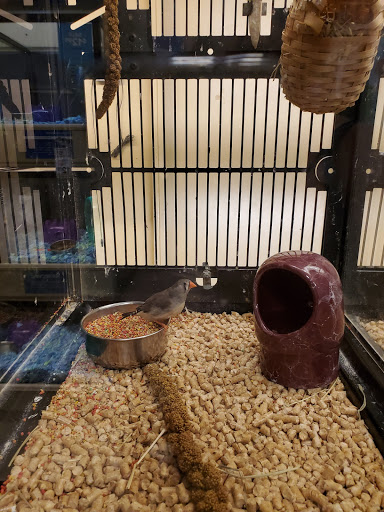 Pet Supply Store «PetSmart», reviews and photos, 4151 Turtle Creek Dr, Coral Springs, FL 33067, USA