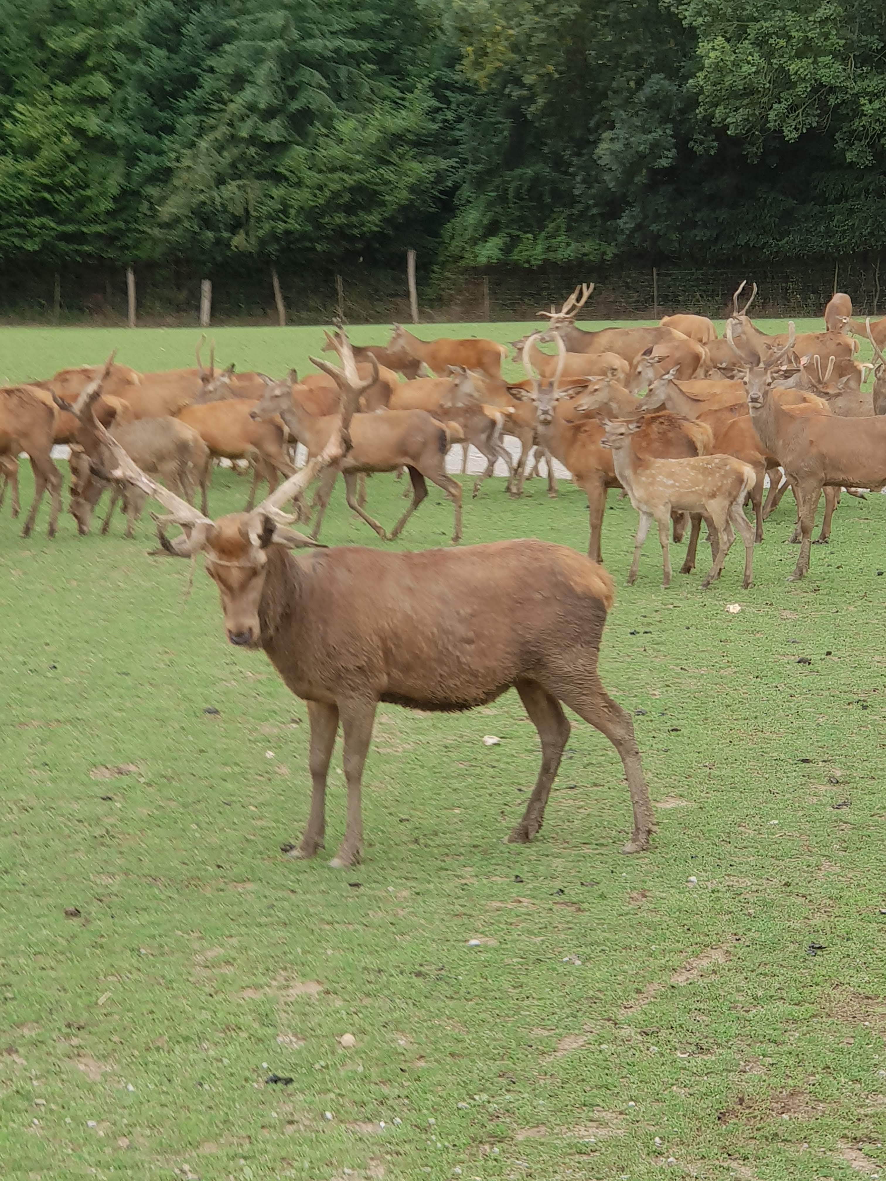 Photo n° 1 de l'avis de nomi.a fait le 23/08/2018 à 14:16
