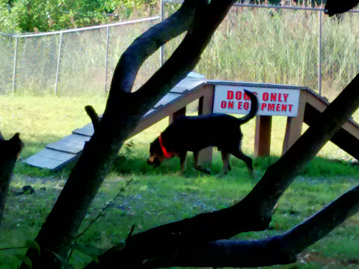 Pet Supply Store «Pequannock Feed & Pet Supply», reviews and photos, 85 Marshall Hill Rd, West Milford, NJ 07480, USA