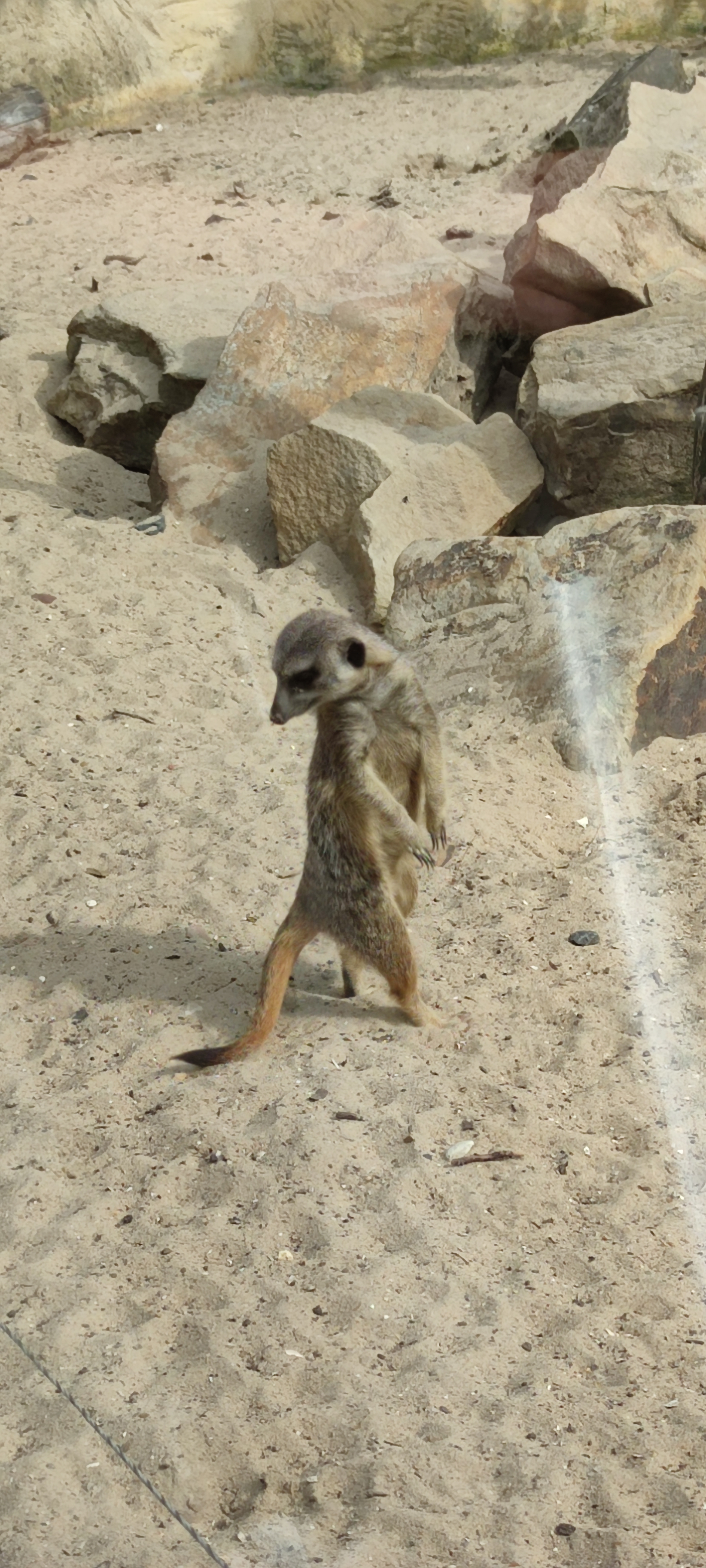 Photo n° 8 de l'avis de Magalie.o fait le 24/07/2021 à 15:03