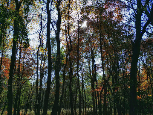 Nature Preserve «Jurgensen Woods Nature Preserve», reviews and photos, 183rd St, Lansing, IL 60438, USA