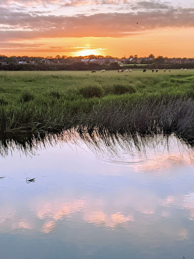 Tombs Meadow