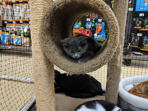 Pet Supply Store «Petco Animal Supplies», reviews and photos, 7434 Little River Turnpike, Annandale, VA 22003, USA
