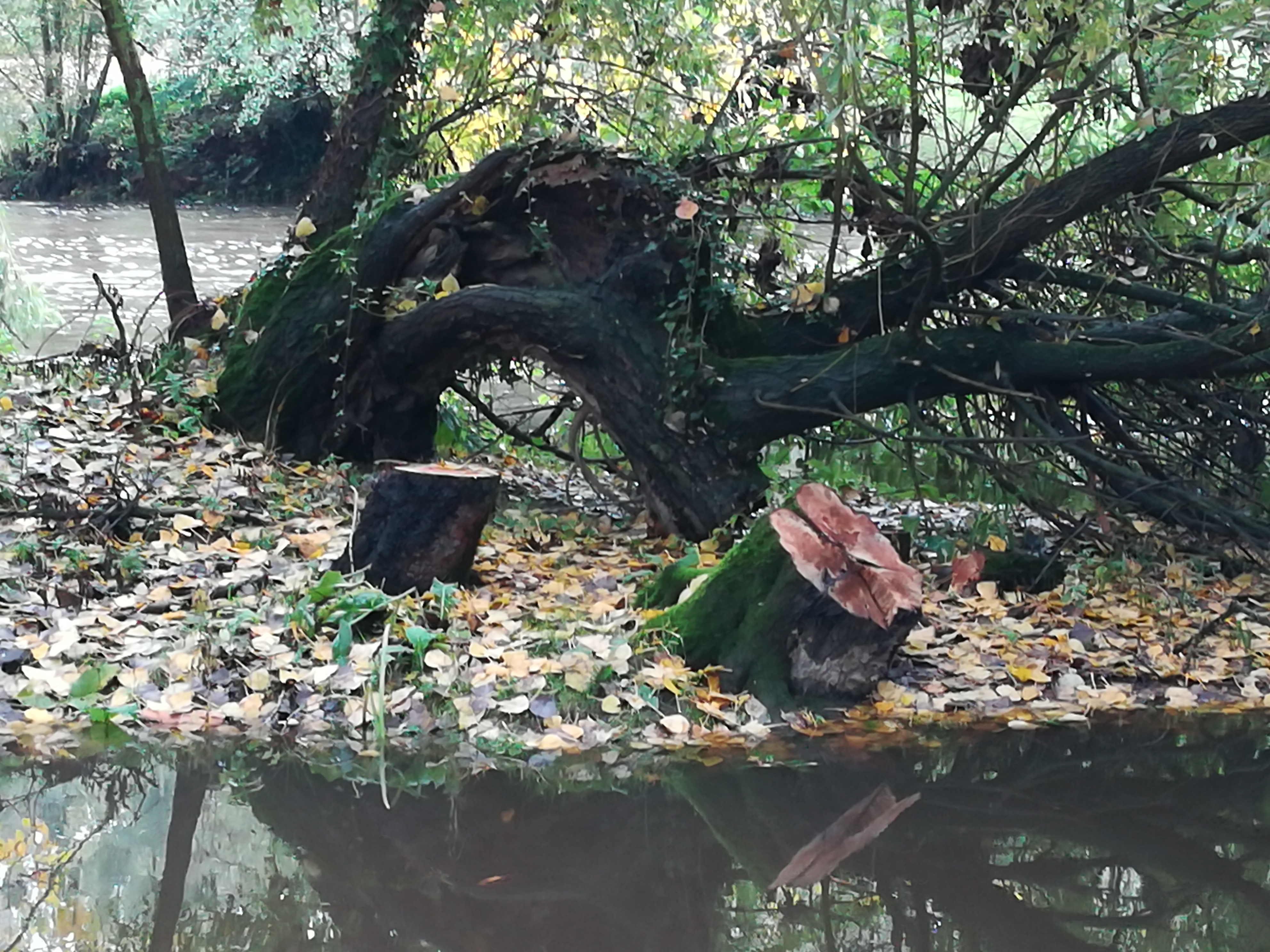 Photo n° 2 de l'avis de Jean.a fait le 01/11/2019 à 12:25
