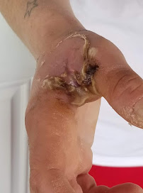 Brooks & hart Pest Control - Photo 1 - Car repair in Richland, WA, Kennewick