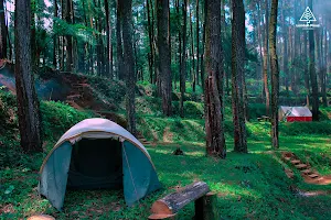 Lembah Pinus Magelang image