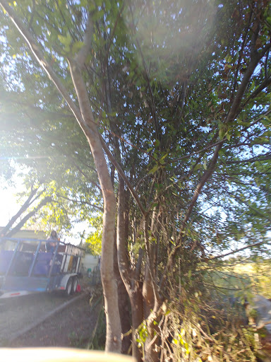 Park «Katherine B. Winniford Park», reviews and photos, 4900 Highlands Dr, McKinney, TX 75070, USA