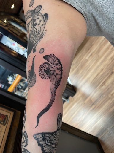 Explore seven deadly sins tattoo ideas, creative tattoo ideas in Lees Summit, available at Bleeding Heart Tattoo