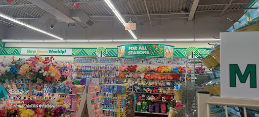 Dollar Store «Dollar Tree», reviews and photos, 345 Huntington Turnpike, Bridgeport, CT 06610, USA