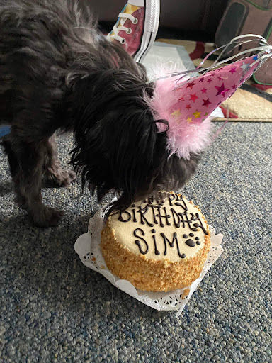 Pet Supply Store «Three Dog Bakery Inc», reviews and photos, 13904 Town Center Blvd # 200, Noblesville, IN 46060, USA