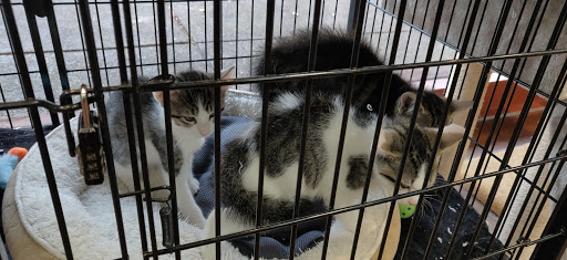 Pet Supply Store «Pet Valu», reviews and photos, 2738 Sidney St, Pittsburgh, PA 15203, USA