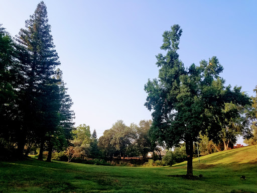 Park «Montview Park», reviews and photos, 4401 Minnesota Ave, Fair Oaks, CA 95628, USA