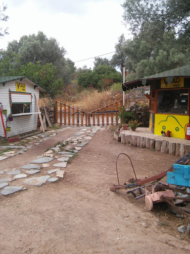 Bodrum Vosvos Camping & Bora Sencer Sanat Köyü