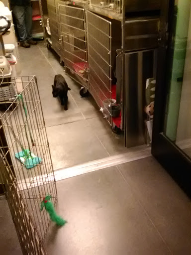 Pet Supply Store «PetSmart», reviews and photos, 3033 NY-50, Saratoga Springs, NY 12866, USA