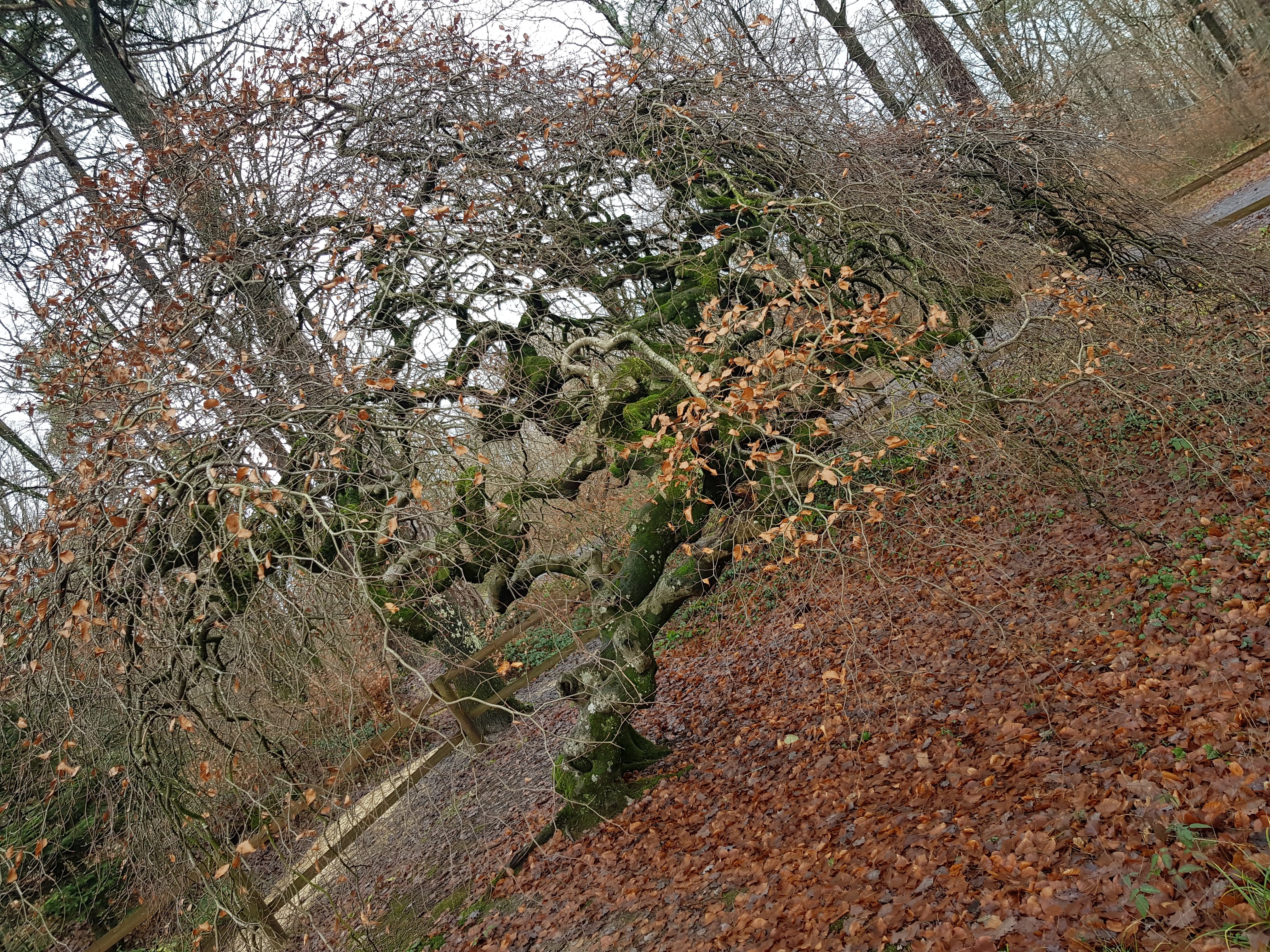 Photo n° 8 de l'avis de Max.o fait le 30/12/2019 à 07:02