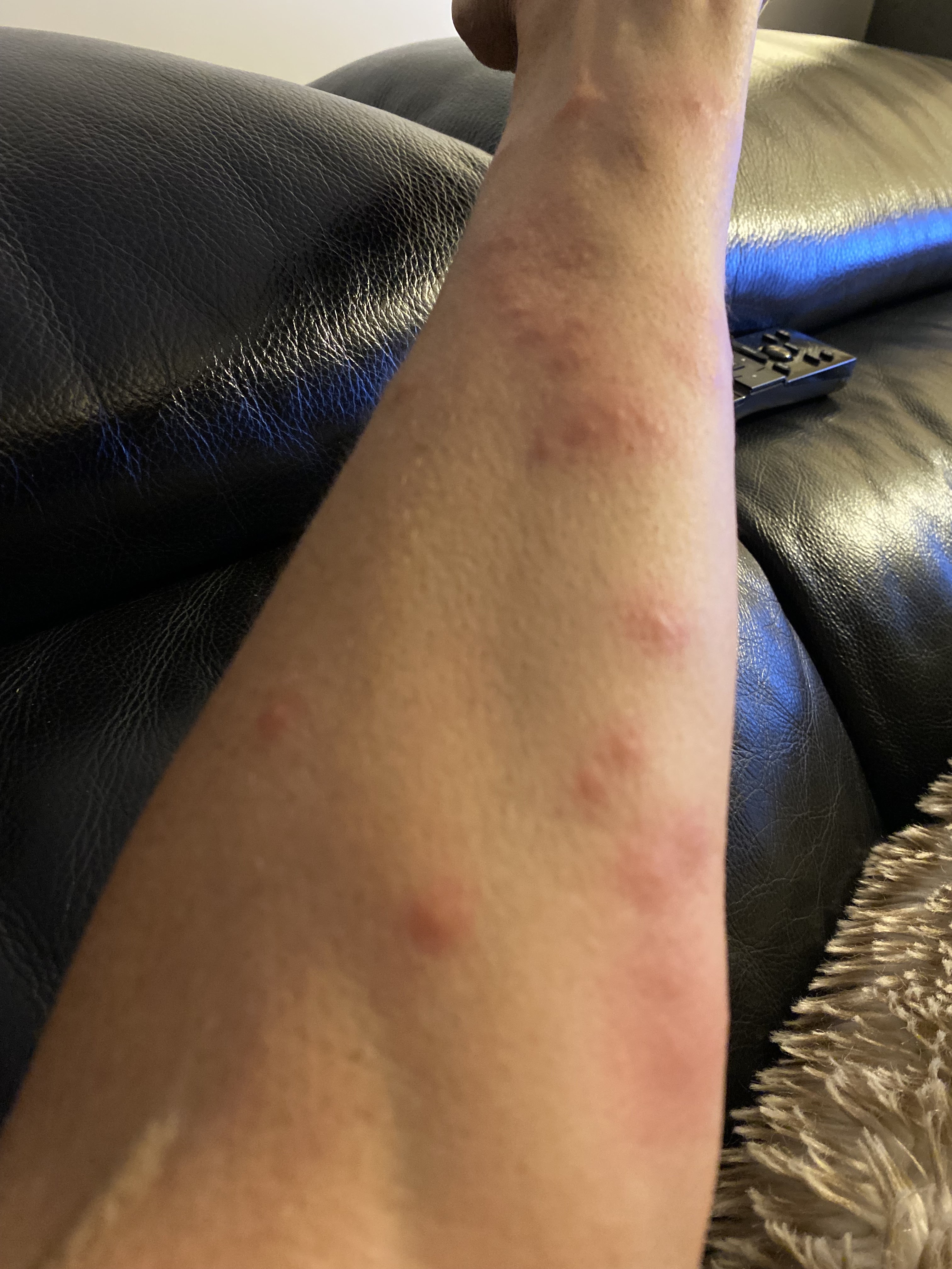 Photo n° 2 de l'avis de Klervi.e fait le 17/10/2022 à 10:30