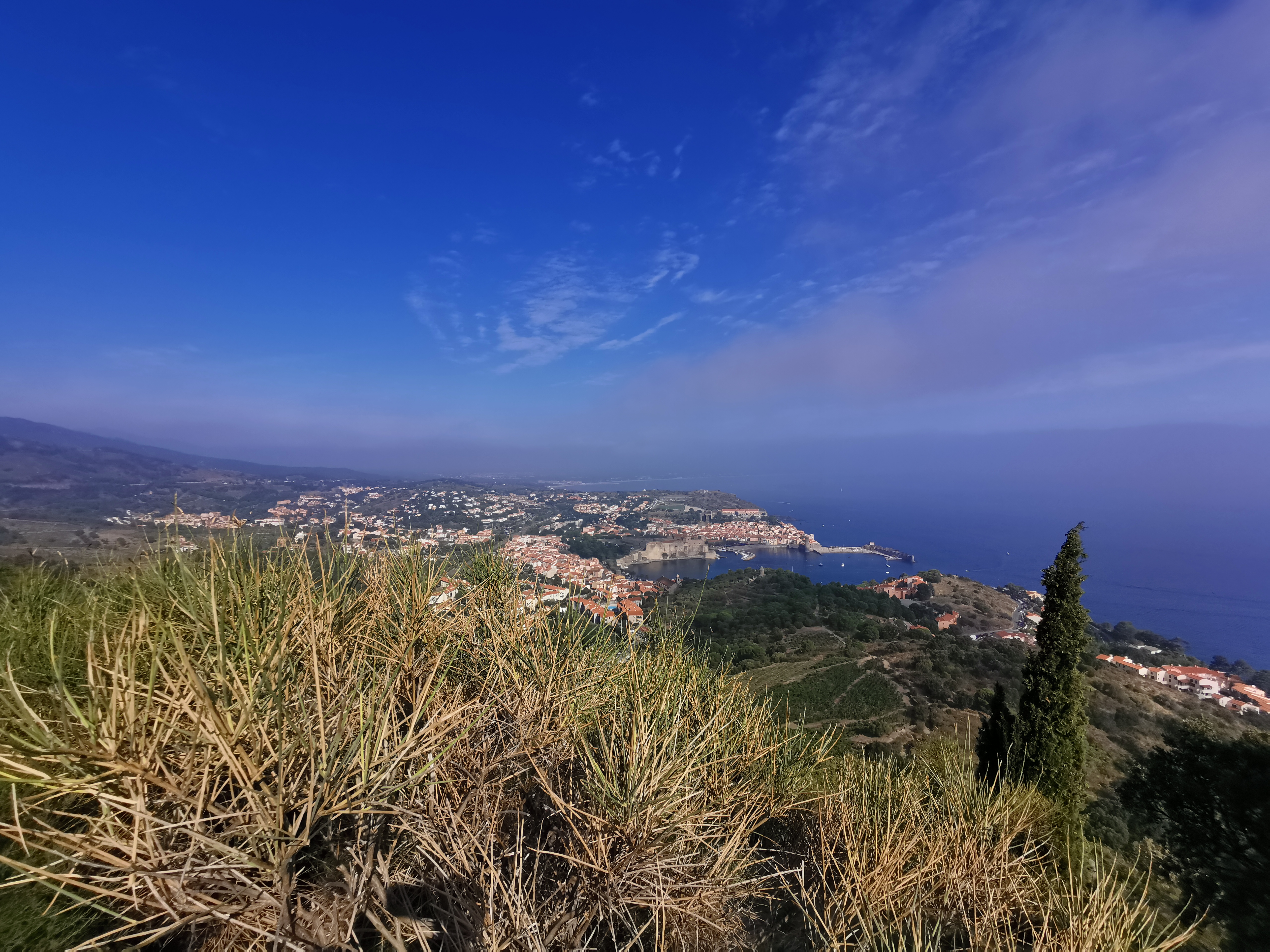 Photo n° 7 de l'avis de JAWADFOX. fait le 26/08/2019 à 12:06