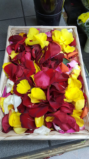 Florist «Cappelletti Florist Inc», reviews and photos, 1907 Bergenline Ave Suite #1, Union City, NJ 07087, USA