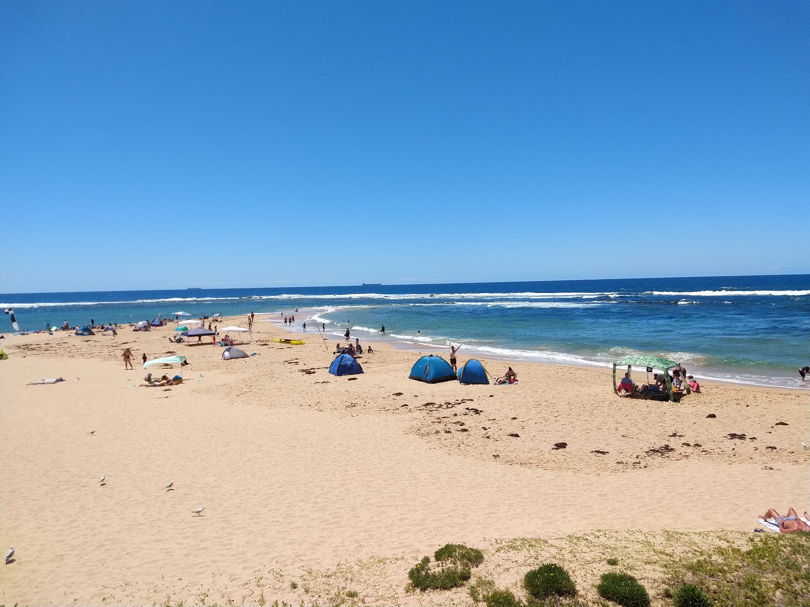 Zdjęcie Toowoon Bay Beach z powierzchnią beżowy piasek