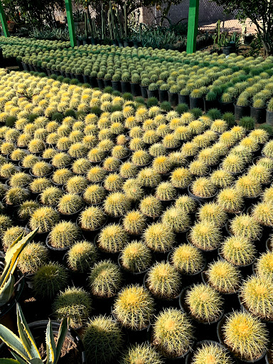 Gas Station «Circle K», reviews and photos, 12707 W Grand Ave, Surprise, AZ 85374, USA