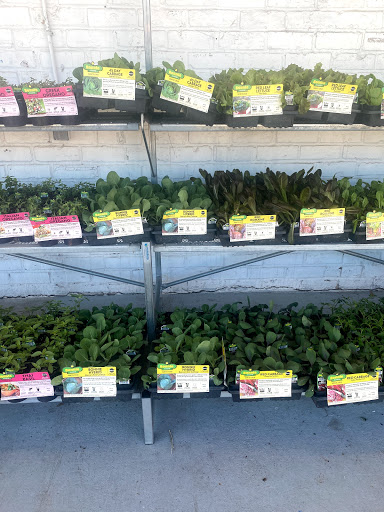 Hardware Store «Cypress Ace Hardware», reviews and photos, 11655 Jones Rd, Houston, TX 77070, USA