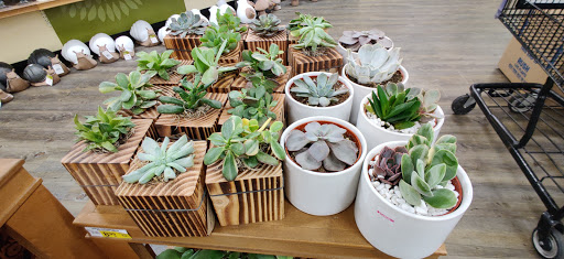 Grocery Store «Safeway», reviews and photos, 2555 Harris St, Eureka, CA 95503, USA