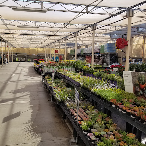 Discount Store «Walmart», reviews and photos, 2595 E Imperial Hwy, Brea, CA 92821, USA