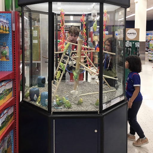 Pet Supply Store «Petco Animal Supplies», reviews and photos, 420 El Cerrito Plaza, El Cerrito, CA 94530, USA