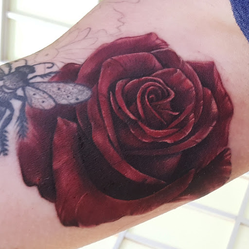 Explore lion chest tattoo ideas, creative tattoo ideas in Lebanon, available at Studio 85 Tattoo