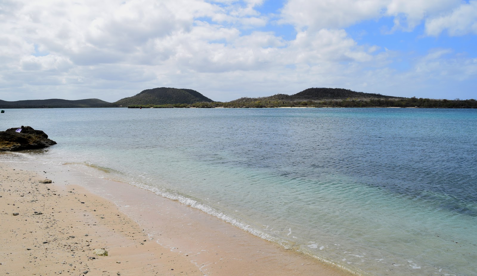 Playa La Guanas'in fotoğrafı biraz temiz temizlik seviyesi ile