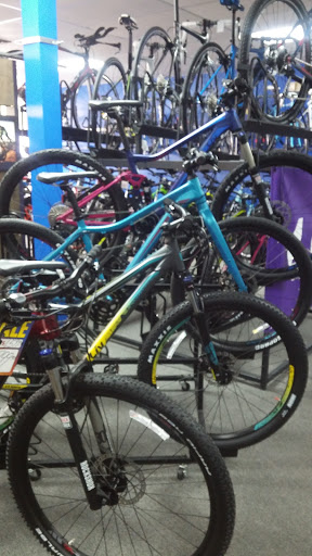 Bicycle Store «Hillsboro Bicycle Center», reviews and photos, 3330 W Hillsboro Blvd, Deerfield Beach, FL 33442, USA