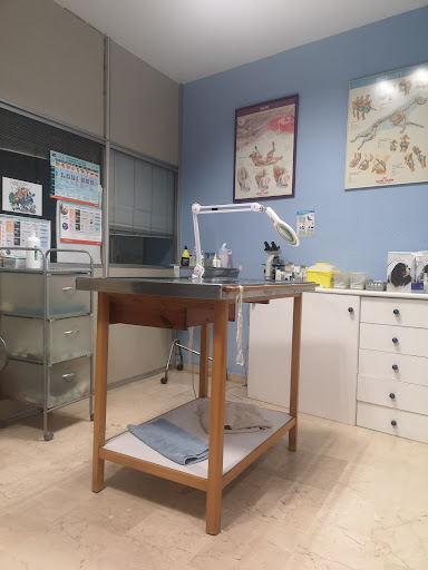 Animalia Consultorio Veterinario en Málaga