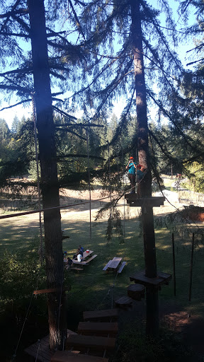 Tourist Attraction «Tree to Tree Adventure Park», reviews and photos, 2975 SW Nelson Rd, Gaston, OR 97119, USA