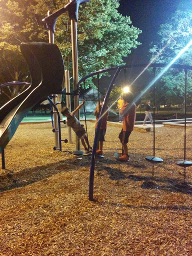 Park «Pasteur Park», reviews and photos, 5825 S Kostner Ave, Chicago, IL 60629, USA