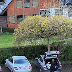 Photo n°1 de l'avis de Mogens.a fait le 12/04/2024 à 18:04 sur le  Hotel Eydt Kirchheim Restaurant Bar Lounge Hessen A7 à Kirchheim