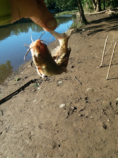 Park «Lou Berliner Park», reviews and photos, 1300 Deckenbach Rd, Columbus, OH 43223, USA