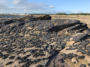 Photo n°18 de Presqu'île de Quiberon à Saint-Pierre-Quiberon ()