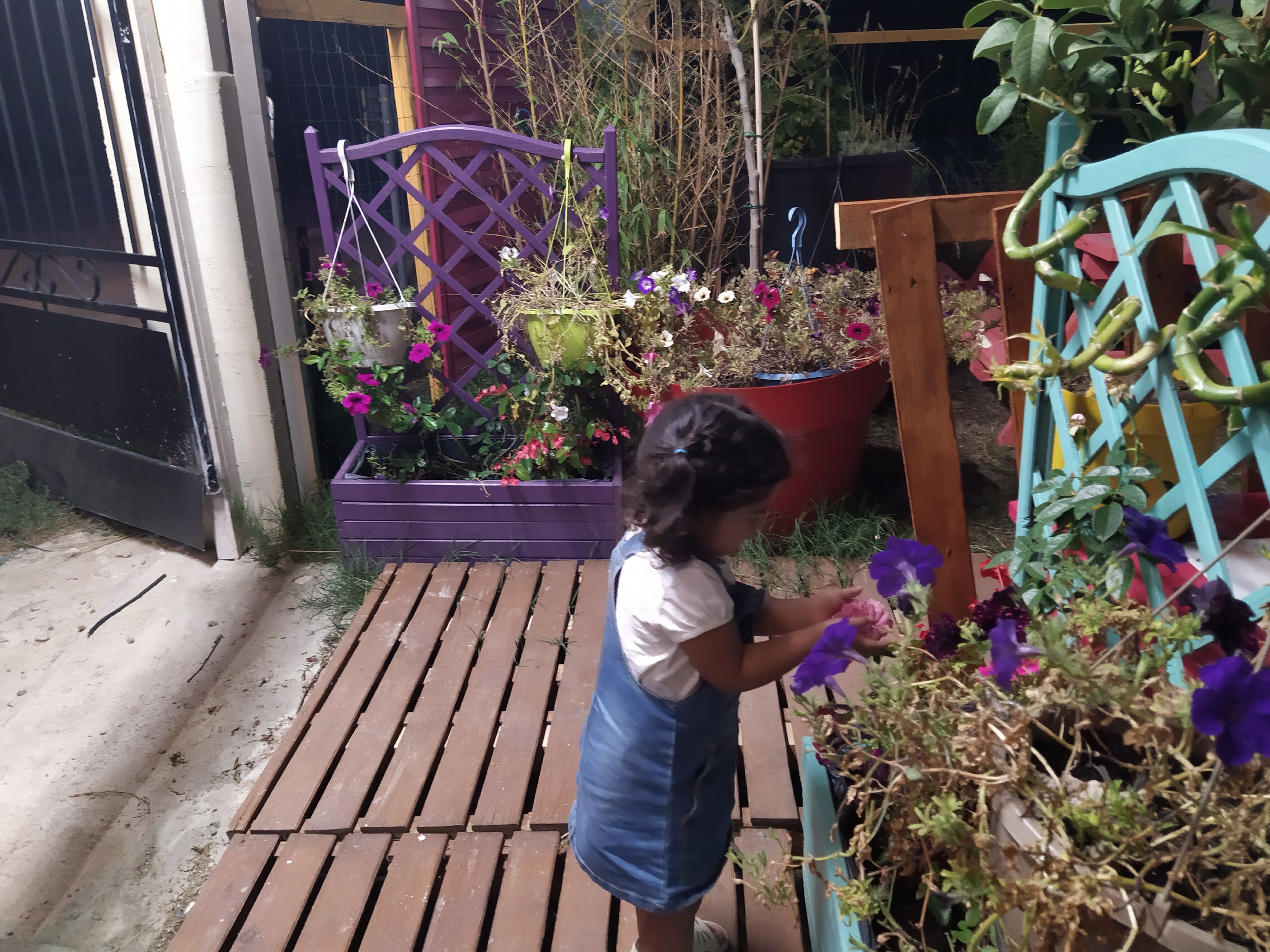 Photo n° 4 de l'avis de ROCIO.L fait le 12/09/2020 à 19:10