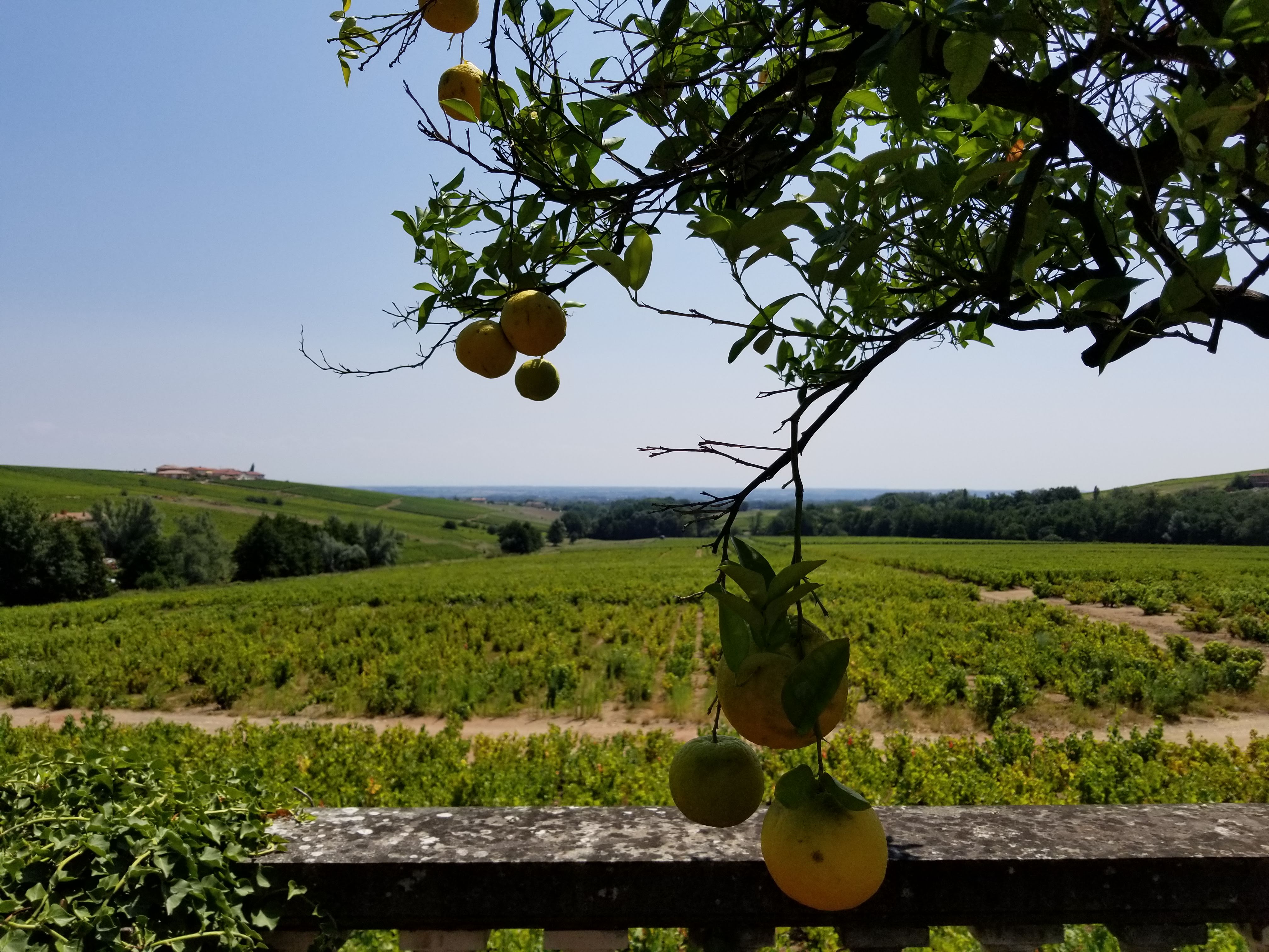 Photo n° 3 de l'avis de Pritesh.i fait le 25/07/2018 à 10:14